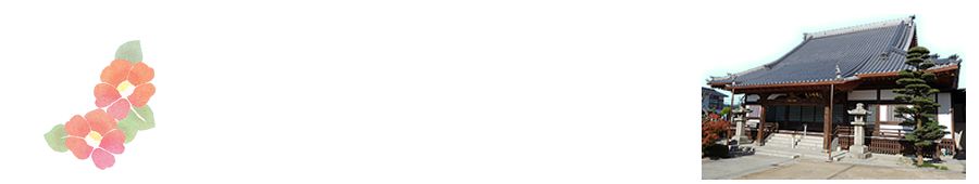 �I�����C���Q�q